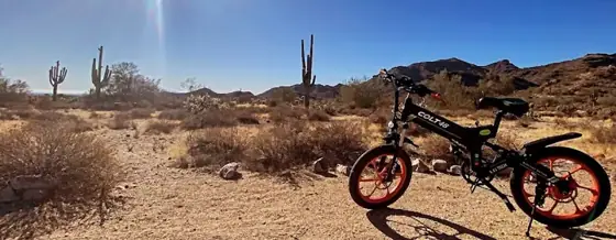 Boneshaker Electric Bikes, bicycle rental service in Venice Beach