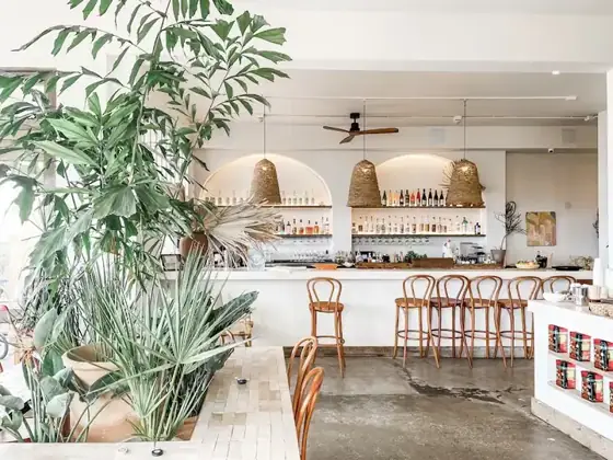 Fig Tree, American restaurant in Venice Beach